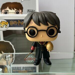 Funko Pop Harry Potter With Golden Egg 26 - Exclusive